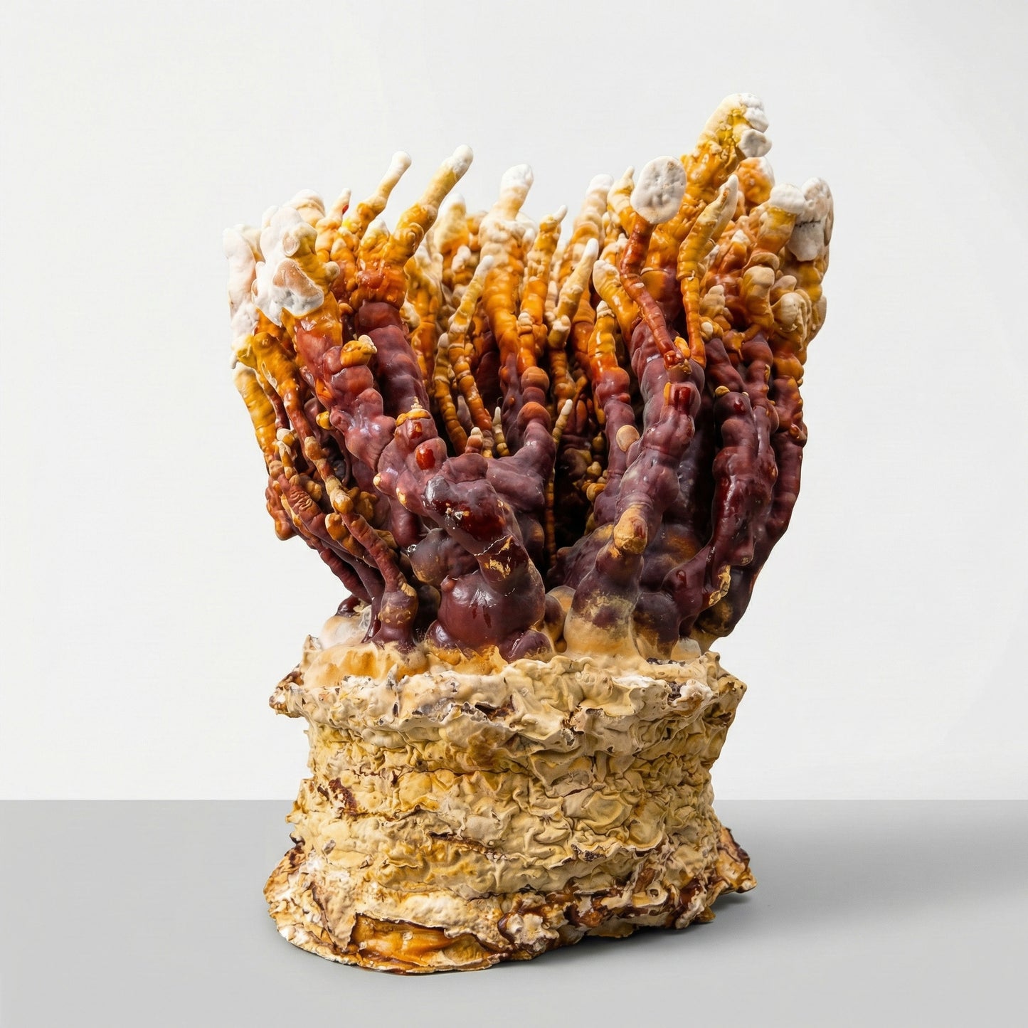 Reishi Kweekset - XL