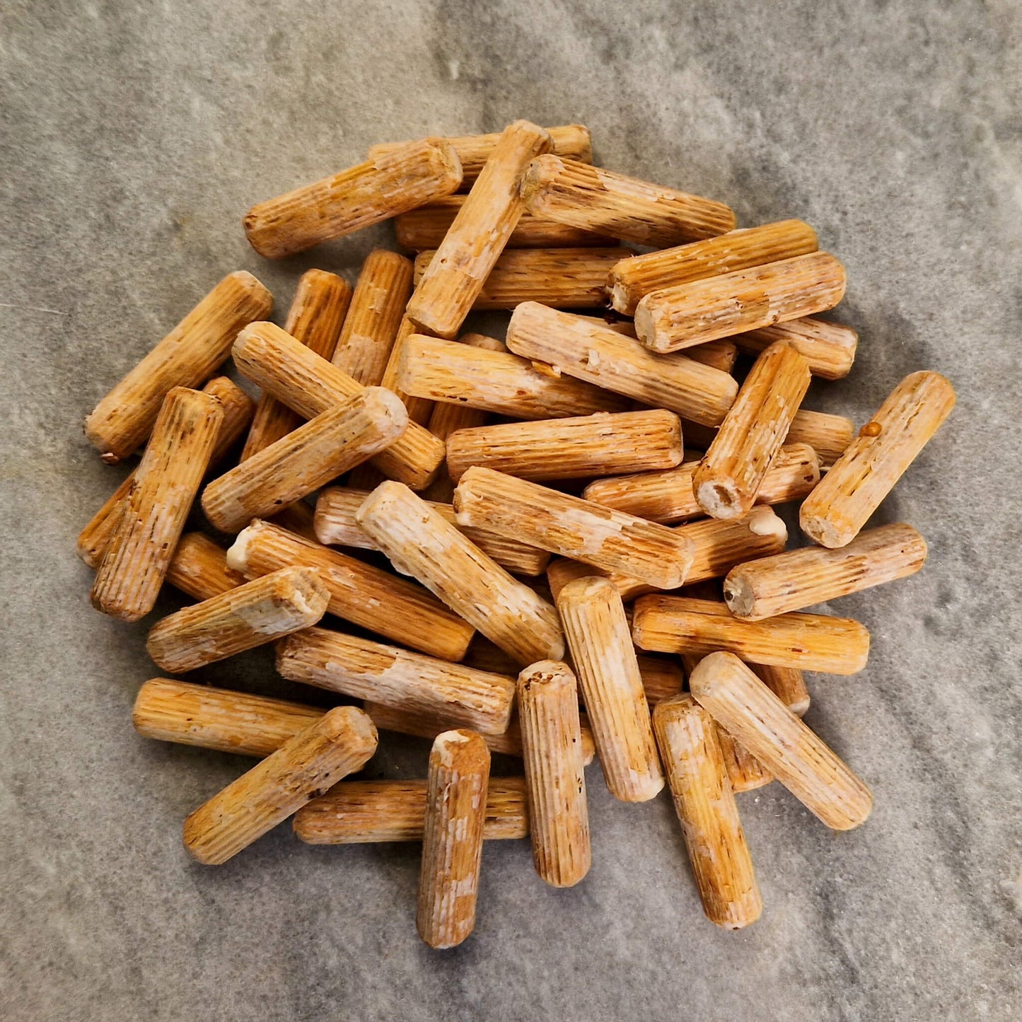 Shiitake - Donko - pluggen