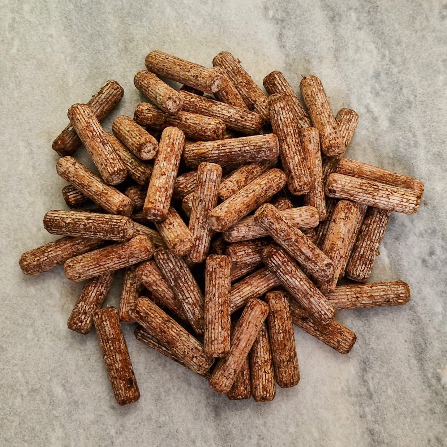 Populierleemhoed (Pioppino) pluggen