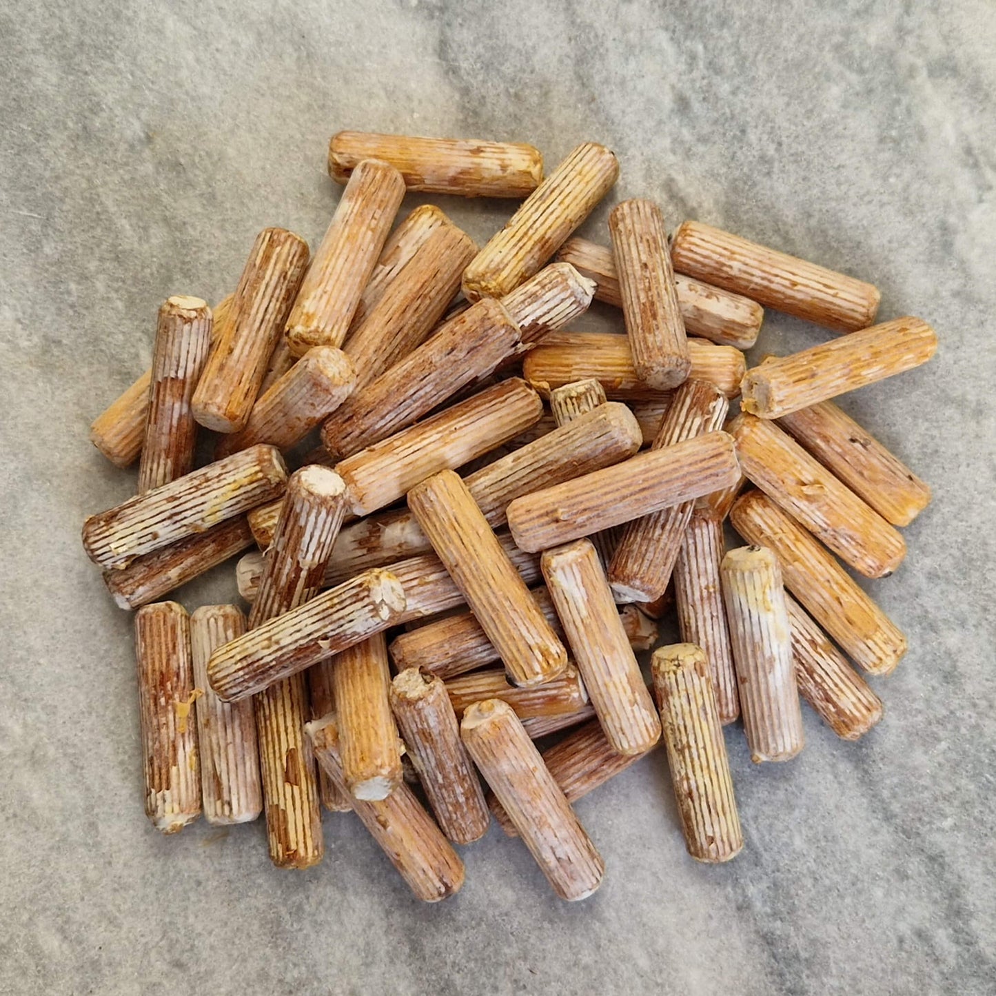 Pruikzwam (Lion’s Mane) pluggen