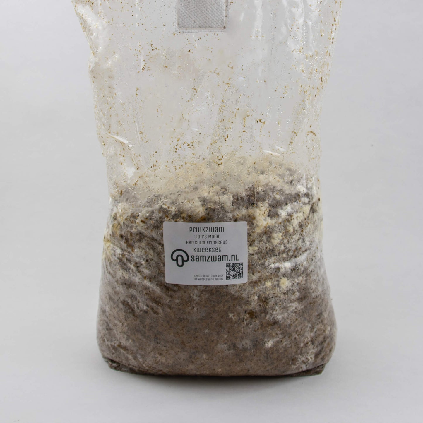 Pruikzwam (Lion’s Mane) Kweekset XL